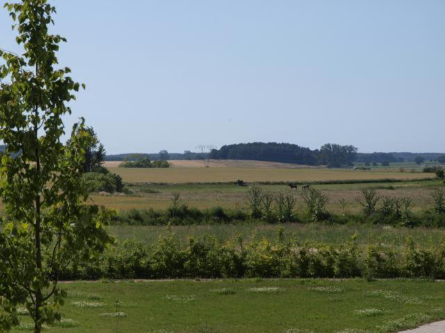 Feriendorf Alte Schmiede Mellenthin Rum bild